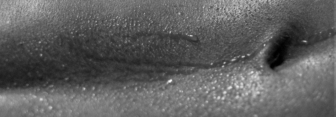 Amyi 3.17 criado para trazer cheiro de suor pós-sexo - Amyi