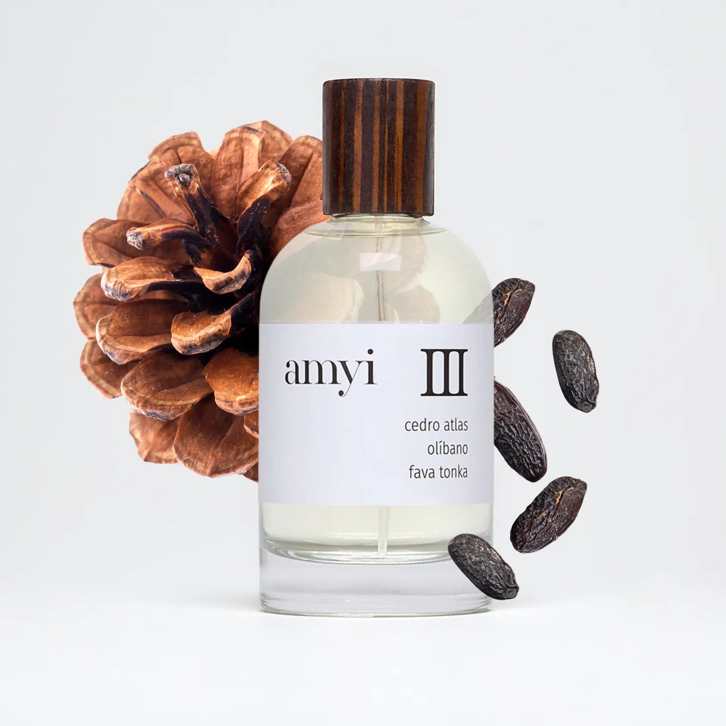 Amyi III