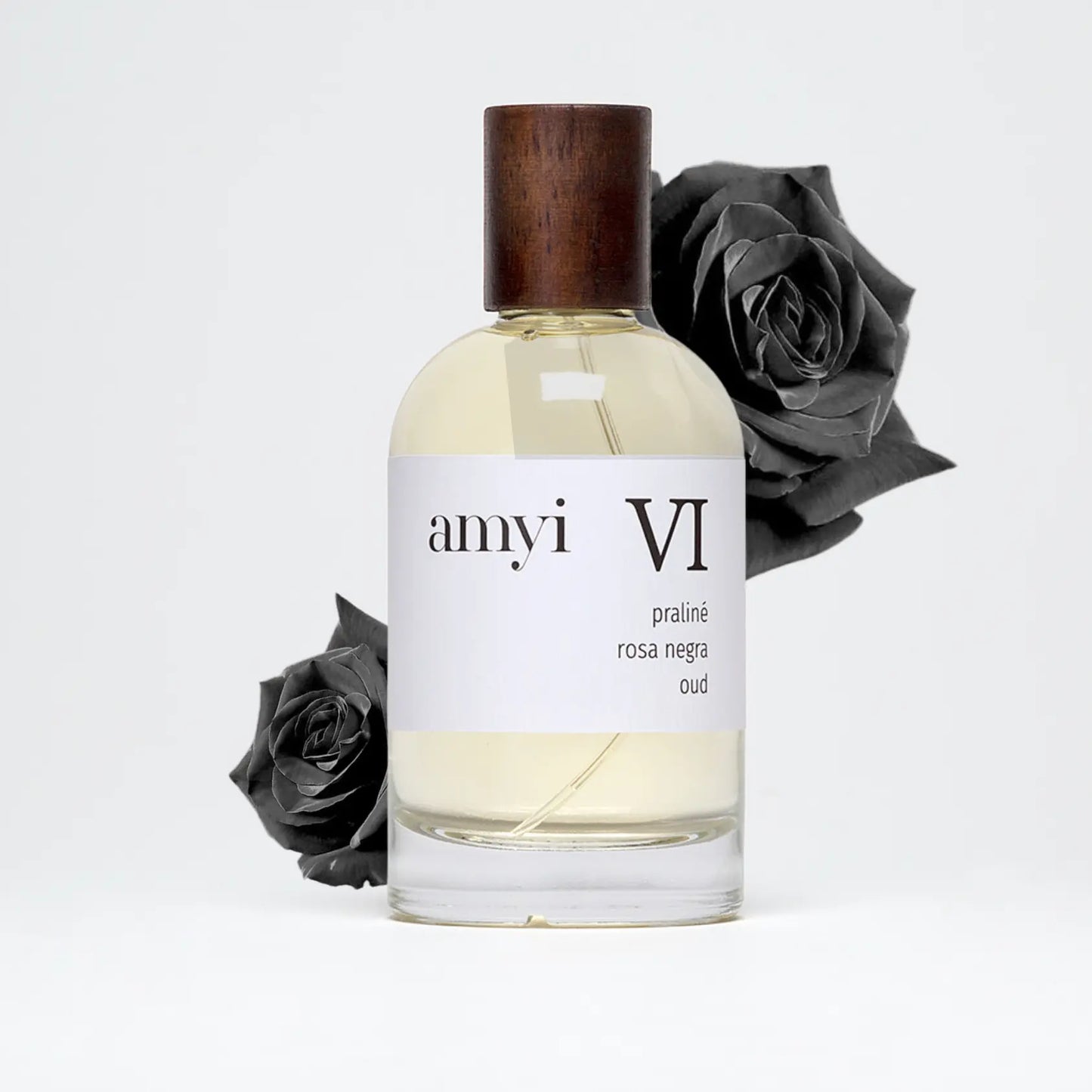 Amyi VI