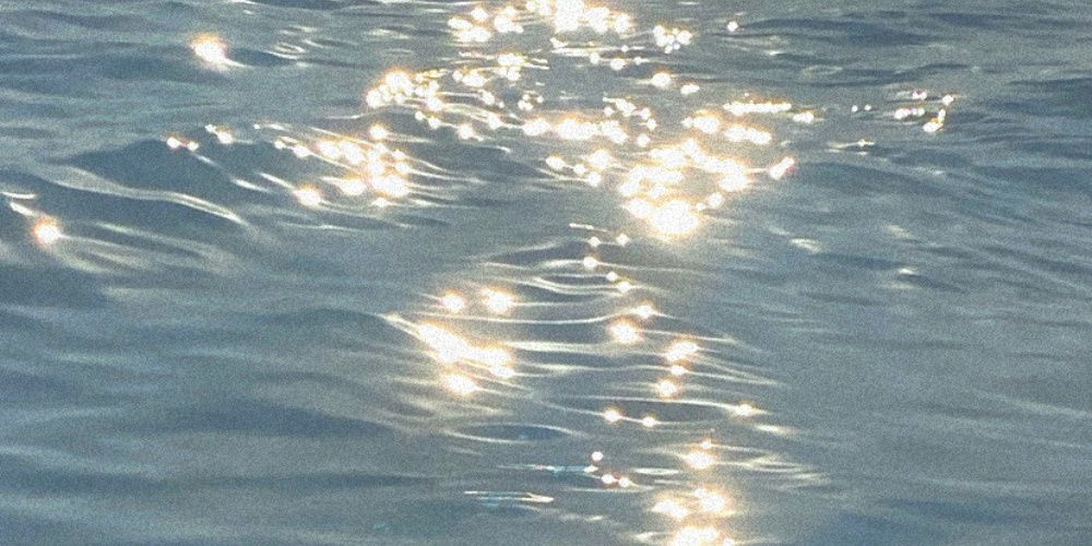 Perfumes frescos: quando o frescor ganha profundidade