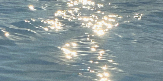 Perfumes frescos: quando o frescor ganha profundidade