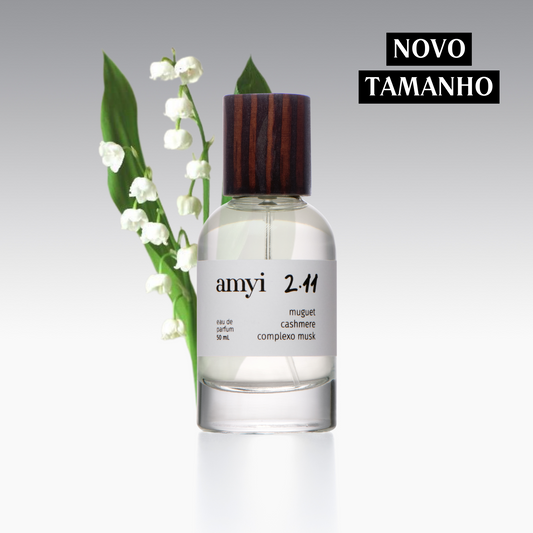 Amyi 2.11
