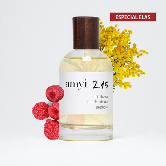 Amyi 2.15