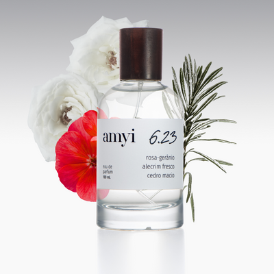 Lançamento - Amyi 6.23