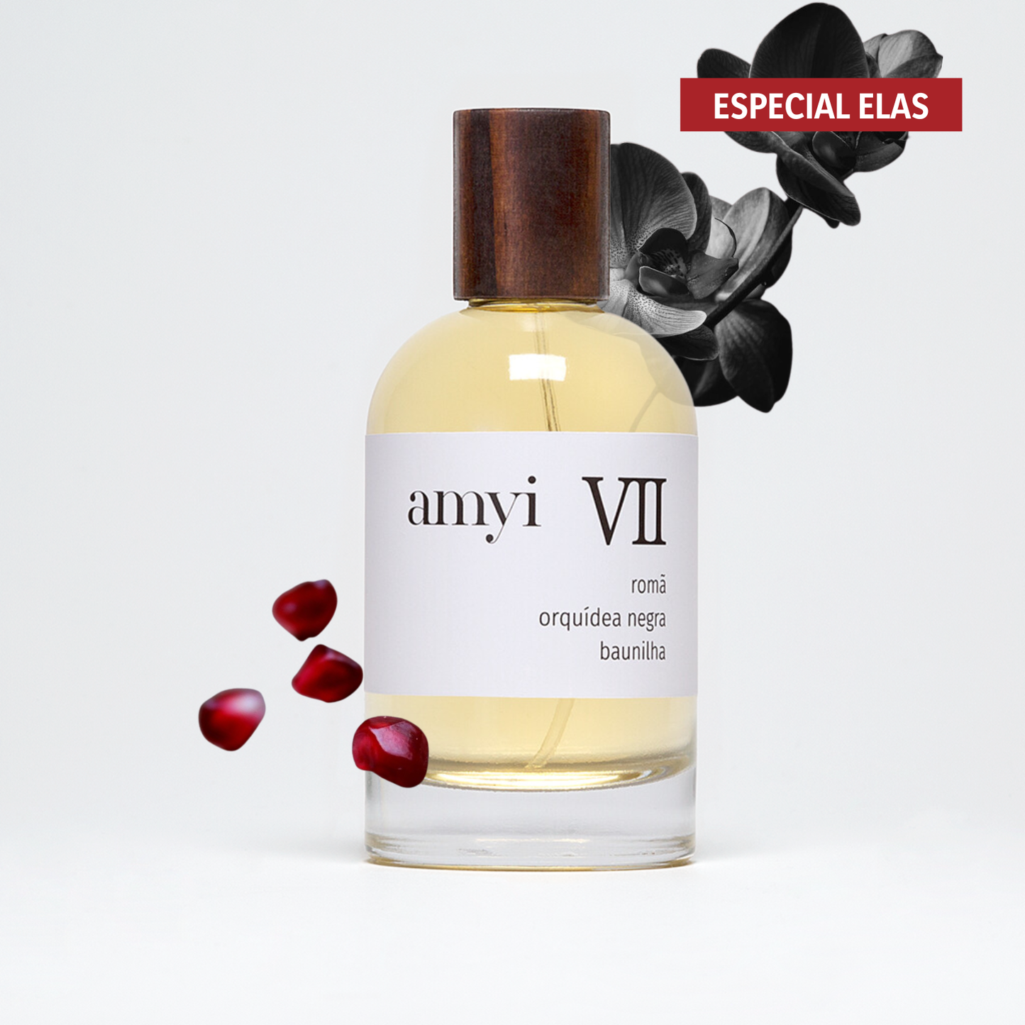 Amyi VII