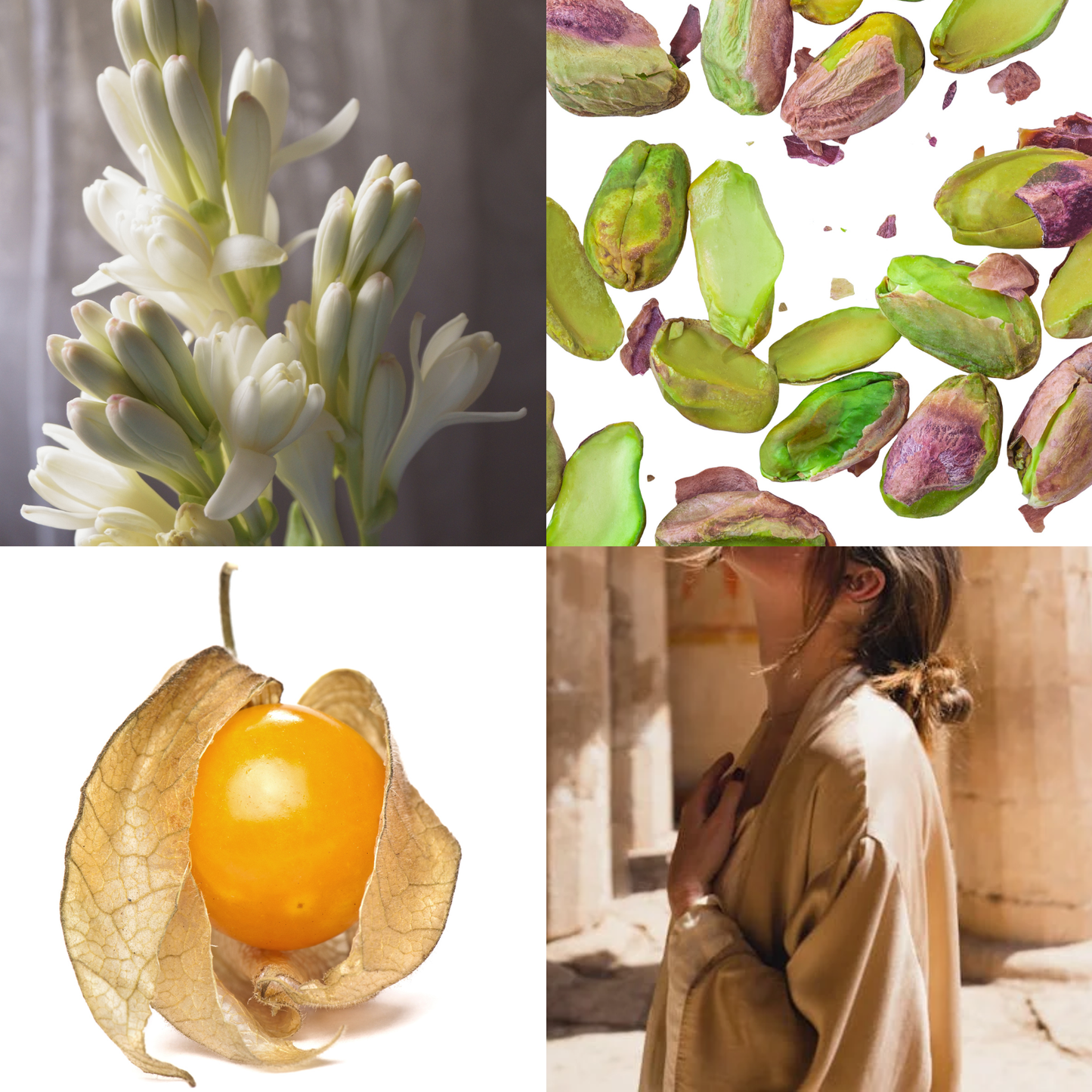 Travel Size Amyi 4.19