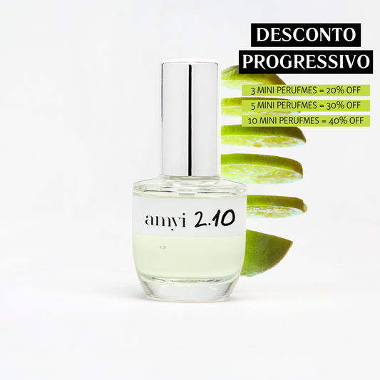 Travel Size Amyi 2.10