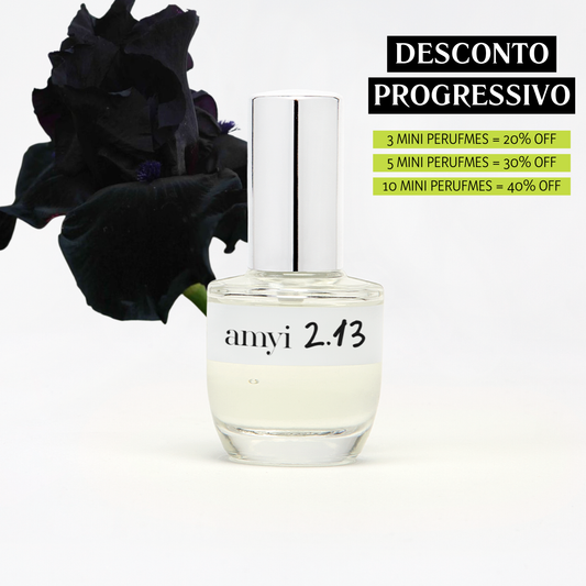 Travel Size Amyi 2.13