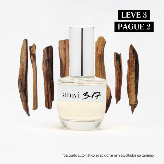 Travel Size Amyi 3.17
