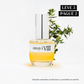 Travel Size Amyi VIII