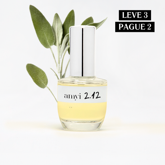 Travel Size Amyi 2.12