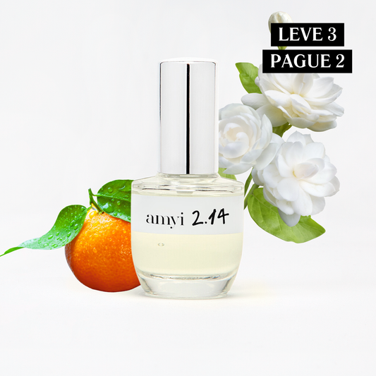 Travel Size Amyi 2.14