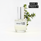 Travel Size Amyi VIII